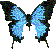 papillon.gif
